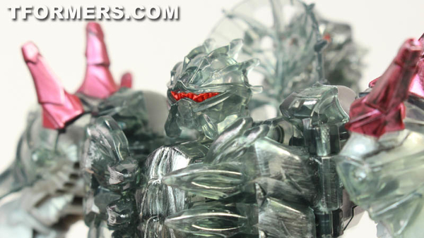 TF4 Dinobots Platinum Edition Unleashed Shared BBTS Exclusive 5 Pack  (16 of 87)